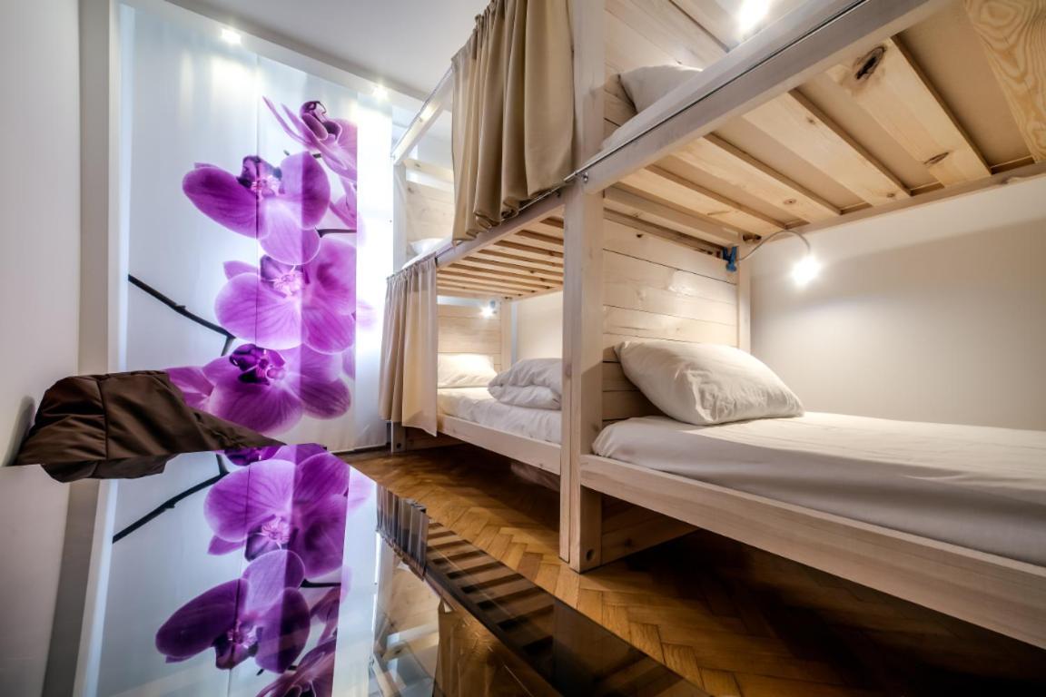 Sova Apartment Lviv Сenter Сity Eksteriør bilde